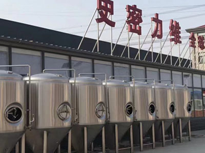 肥城精酿啤酒设备厂—如何判断精酿啤酒设备的密封件需要更换？
